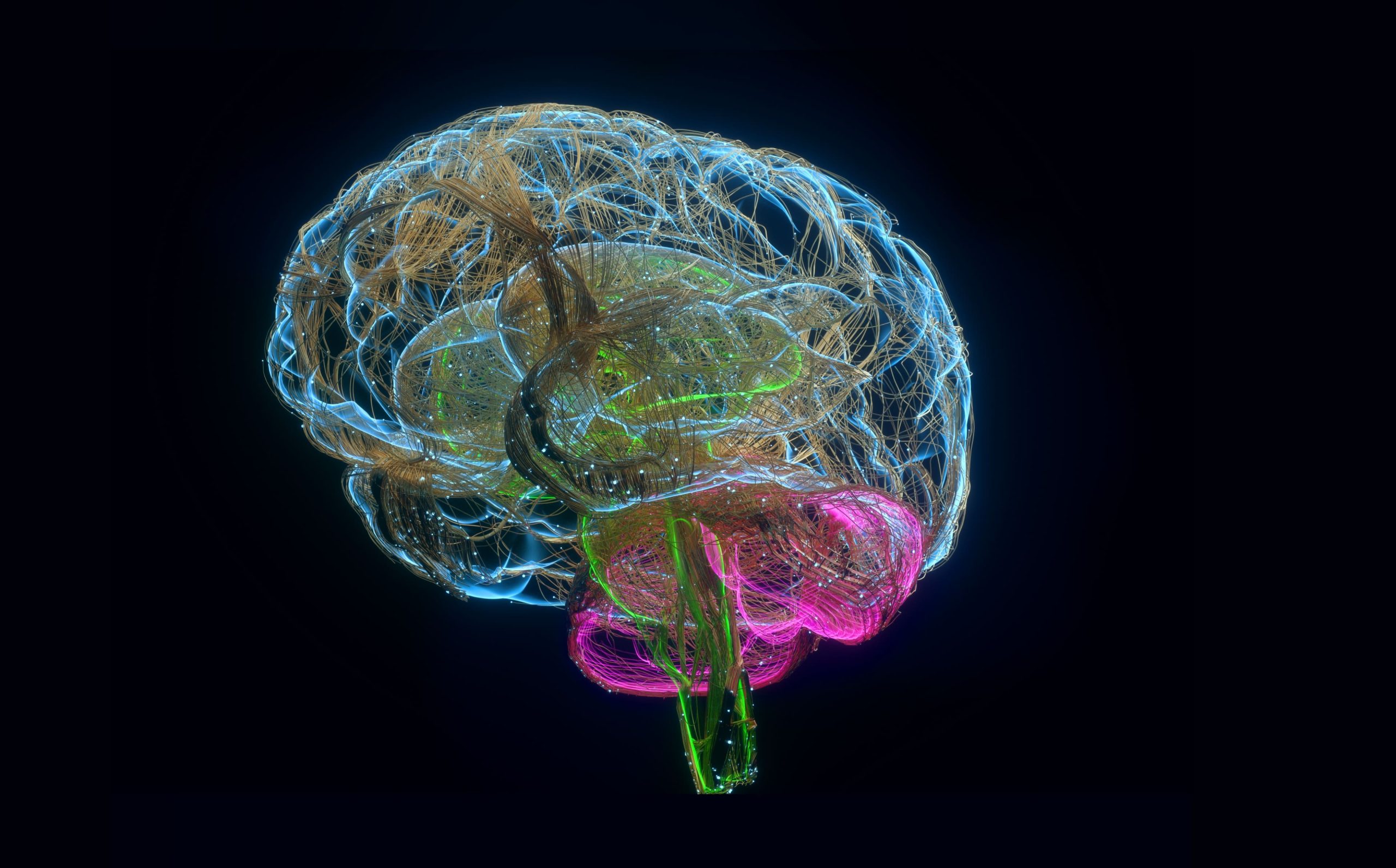 Digital brain network visualizing innovation management, business transformation and strategic thinking for future-ready organizations and sustainable growth.